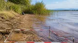 La DANA de 2024 dejó contaminación fecal en la Albufera seis meses después