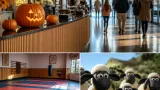 Tres estrenos llegan a los cines españoles este viernes 30 de octubre