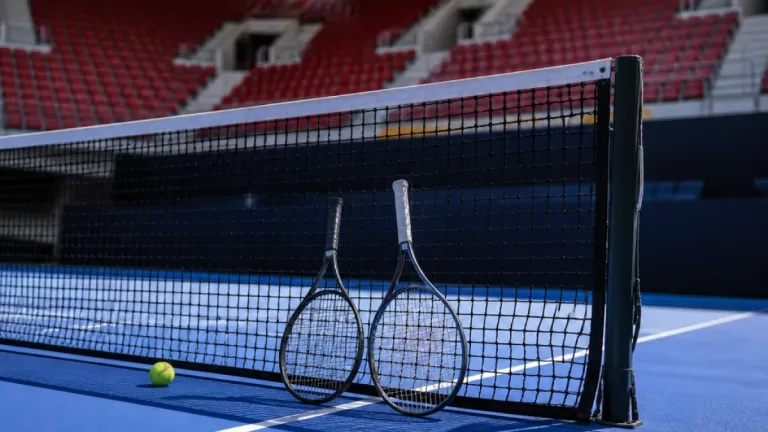 Dani Mérida cae ante Medvedev y se despide del ATP 500 de Viena